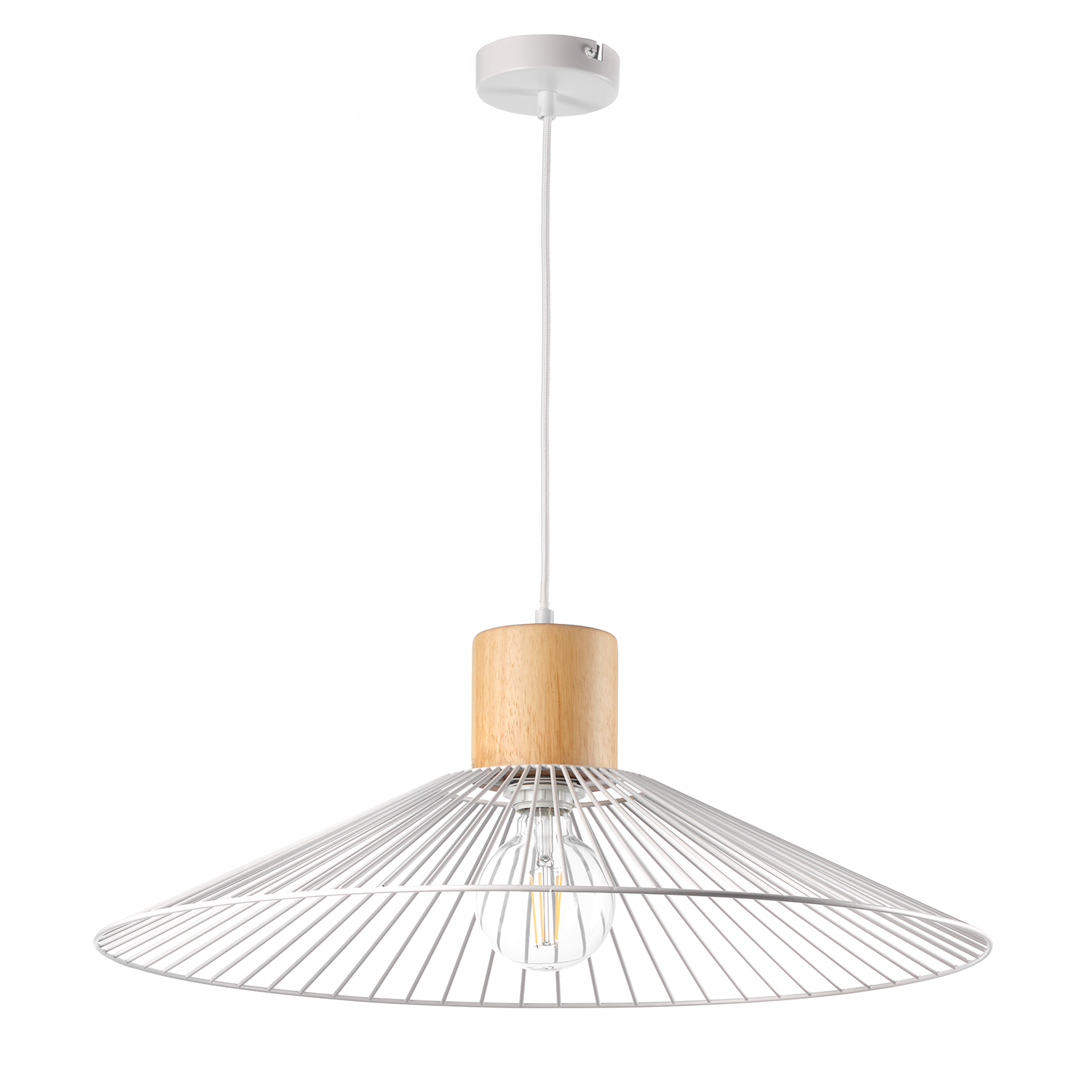 Sospensione Filomena